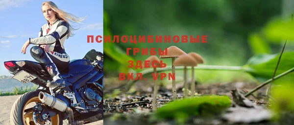 хмурый Козловка