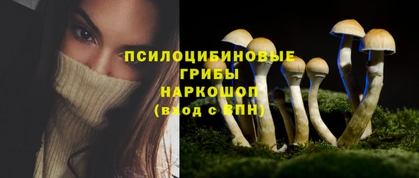 мяу мяу мука Кодинск