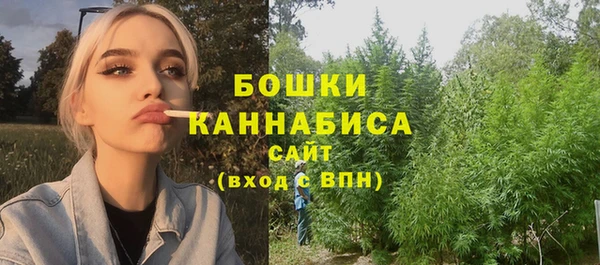 дурь Киреевск