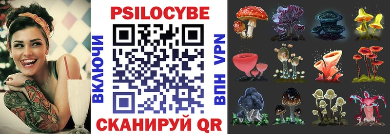 Купить  Енисейск  Галлюциногенные грибы Psilocybine cubensis 